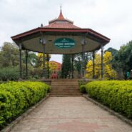 Cubbon Park Bangalore pathways with trees