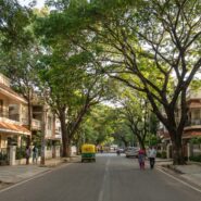 Koramangala neighborhood street view with modern buildings and calm vibe