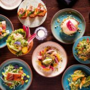 Overhead shot of vibrant Asian-fusion small plates revealing the real story behind the food through seared fish, bao, and floral salads on a dark table.