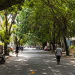Tree-lined streets of Jayanagar Bangalore showing the peaceful side of the neighbourhood.
