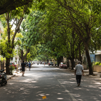 Tree-lined streets of Jayanagar Bangalore showing the peaceful side of the neighbourhood.